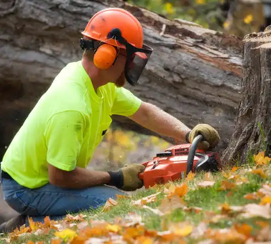 tree services Green Level